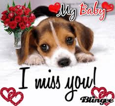 my baby miss you picture 108627857