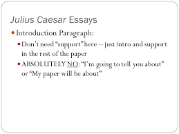  Julius Caesar Project is due   Comparison Contrast Essay A Pre     SlidePlayer Sonnet essay Essay on good friend Essay Examples For University lorexddns