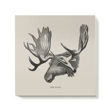 The Moose Canvas Wall Art Sufrace View