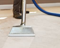carpet cleaning biohome twin cities