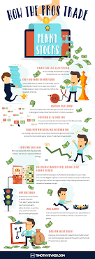 how pros trade penny stocks infographic