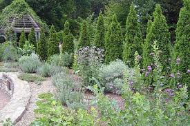 Creating Your Own Herb Garden