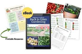 beginner s guide to back to eden gardening