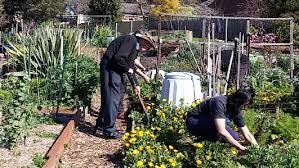 Sustainable Gardening Australia