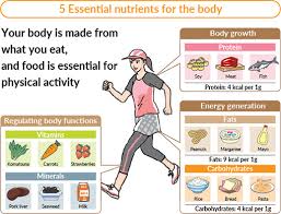 nutritional balance essentials for