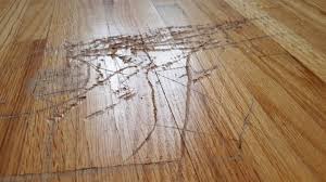 identify problems for hardwood floor