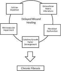 Impaired Wound Healing After Radiation Therapy A Systematic