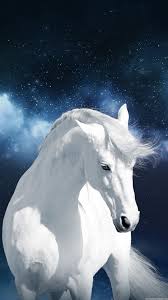 white horse wallpaper 68 images