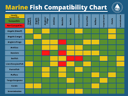 fish compatibility chart for freshwater