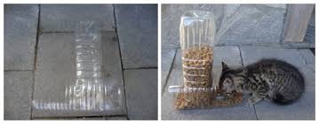 Use it for cats, small dogs or maybe rodents? Diy Homemade Pet Feeder From Plastic Bottles