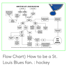 How To Bea St Louis Blues Fan Dont Go To College Apply To