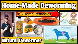 homemade deworming in dogs deworming