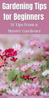 21 Best Gardening Tips For Beginners