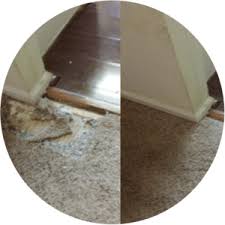 atlanta carpet repair services dry