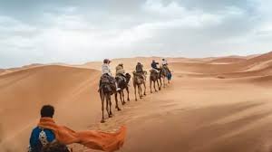 Taking a camel safari will also give you the opportunity to witness the rustic, rural desert life of india. Dunes Desert Marrakech In Marrakesh Cost When To Visit Tips And Location Tripspell