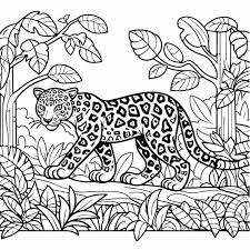 vector jaguar coloring book ilration