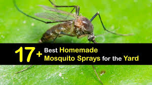Diy Mosquito Sprays Make Your Own