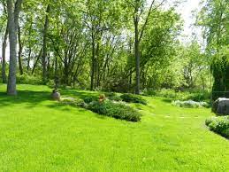 Proper lawn care services and maintenance from experienced experts can make a difference. Organic Lawn Care Near Me In Malta Idaho