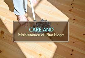 guide to pine flooring 2023 cost