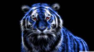 d Animated Tiger Wallpapers d wallpaper ...