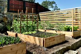 Raised Garden Beds Build Your Own