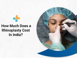 how much does a rhinoplasty cost in india