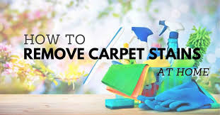 remove stains from carpet