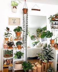bedroom plants decor