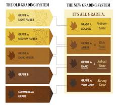 New Grading System For Maple Syrup Grading Changes Azure