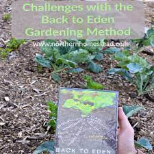 Challenges With The Back To Eden Method