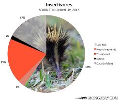 Chart Endangered Insectivores