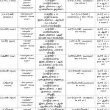 isolating word level rules in tamil