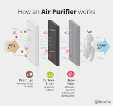 do hepa filters remove mold housefresh