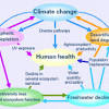 What Are Some Ways That the Environment Affects Human Health?