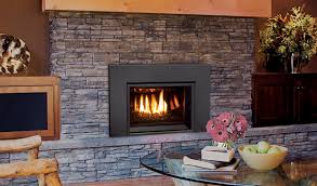 Enviro Gas Burning Fireplace Inserts