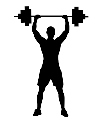 Free Images : weightlifter, gym, tool, athlete, bodybuilding, barbell,  workout, hand, iron, lifting, motivation, muscular, sport, steel,  silhouette, training, weight, weightlifting, arm, weights, muscle, overhead  press, exercise equipment, dumbbell ...