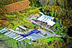 engwalls to sell garden center property