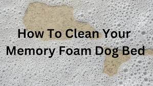 how to clean a memory foam dog bed