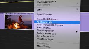 create freeze frames in adobe premiere pro