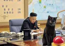 Image result for picture north korea cat nuclear button