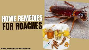 home remes for roaches how to get