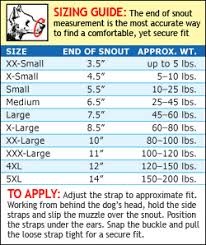 11 High Quality Quick Fit Dog Muzzle Size Chart