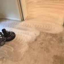 your local carpet cleaning expert in