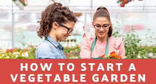 How To Start A Vegetable Garden At Home