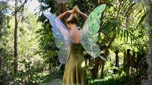 how to make fairy wings you