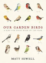 Our Garden Birds By Sewell Matt Book