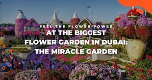 biggest flower garden in dubai