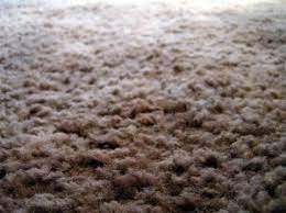 how to install foam backed carpet ehow