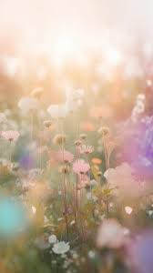 dreamy flower garden in soft pastel hues