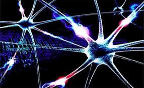 Las redes neuronales: qué son y por qué están volviendo - Maestro21®